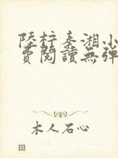 陆柠秦湘小说免费阅读无弹窗