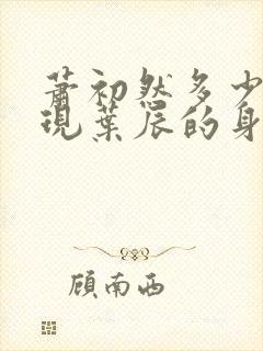 萧初然多少章发现叶辰的身份