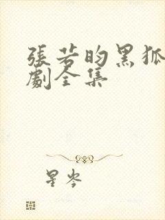 张若昀黑狐电视剧全集