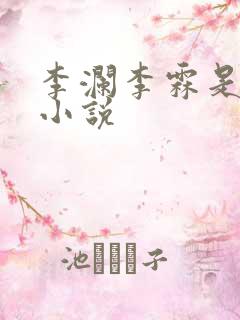 李澜李霖是什么小说