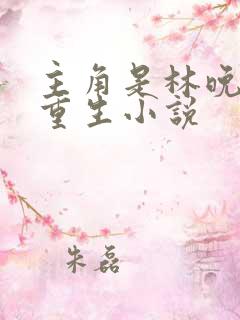 主角是林晚晚的重生小说