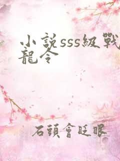 小说sss级战龙令