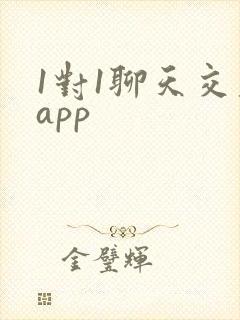 1对1聊天交友app