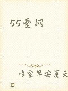 55爱网