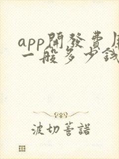 app开发费用一般多少钱