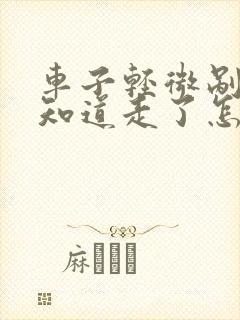 车子轻微剐蹭不知道走了怎么处理