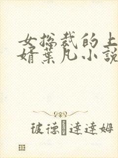 女总裁的上门女婿叶凡小说正版