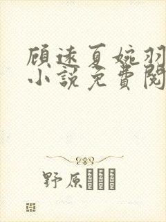 顾远夏婉羽林军小说免费阅读笔趣阁