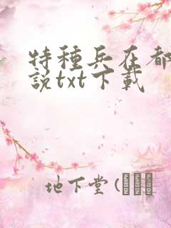 特种兵在都市小说txt下载
