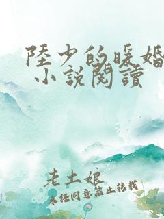 陆少的暖婚新妻 小说阅读