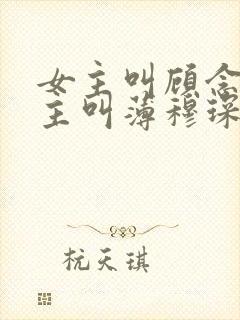 女主叫顾念,男主叫薄穆琛的小说
