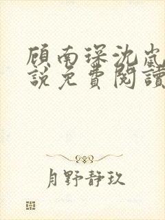 顾南琛沈岚晚小说免费阅读最新章节更新