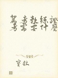 驾考教练证怎么考需要什么条件吗