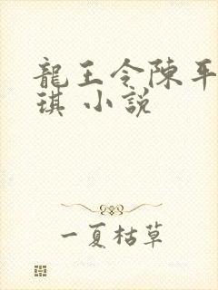 龙王令陈平苏雨琪 小说
