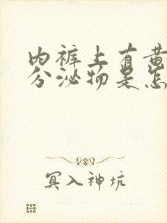 内裤上有黄黄的分泌物是怎么回事不痒