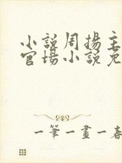 小说周扬主角的官场小说免费阅读