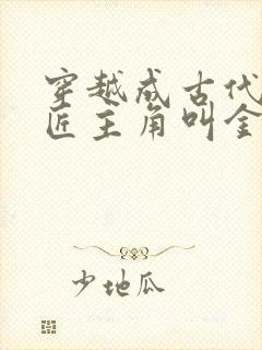 穿越成古代小铁匠主角叫金锋的小说