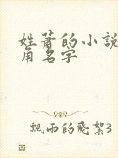 姓萧的小说女主角名字