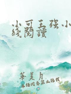 小可王强小说在线阅读