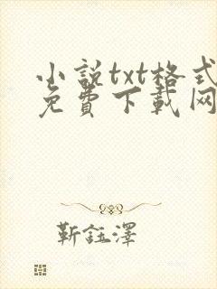 小说txt格式免费下载网站