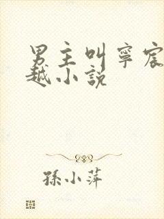 男主叫宁宸的穿越小说