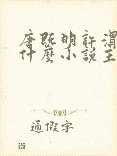 唐既明许渭尘是什么小说主角