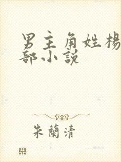 男主角姓杨的全部小说
