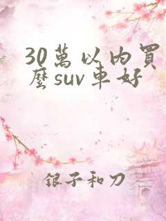 30万以内买什么suv车好