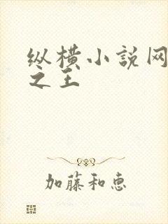 纵横小说网万相之王