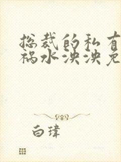 总裁的私有宝贝祸水泱泱免费阅读