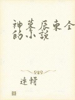 神墓辰东全免费的小说
