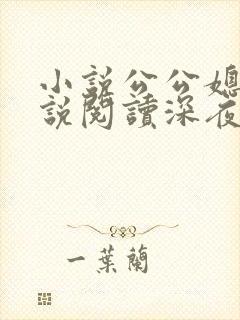 小说公公媳妇小说阅读深夜阅读全文