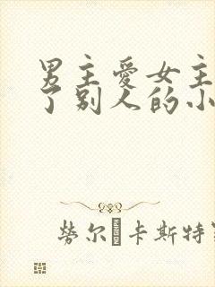 男主爱女主却娶了别人的小说