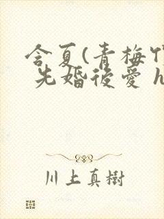 含夏(青梅竹马 先婚后爱 h)