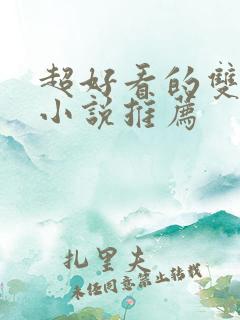 超好看的双男主小说推荐