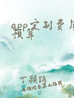app定制费用预算
