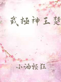 武极神王楚痕