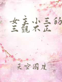 女主小三的小说三观不正