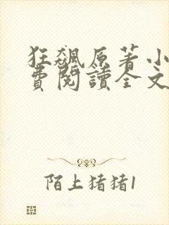 狂飙原著小说免费阅读全文无删减