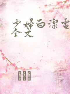 少妇白洁电子书全文