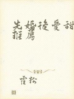 先婚后爱甜宠文推荐