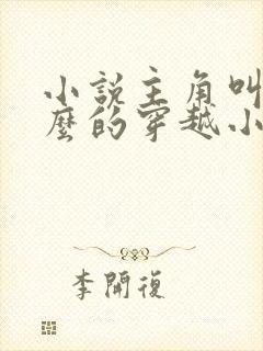 小说主角叫苏什么的穿越小说