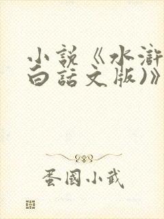 小说《水浒传(白话文版)》
