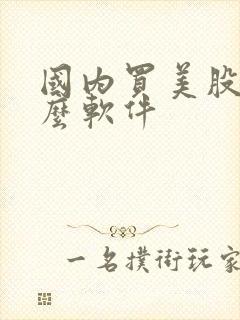 国内买美股用什么软件