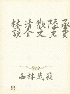 林清欢陆承洲小说全文免费阅读