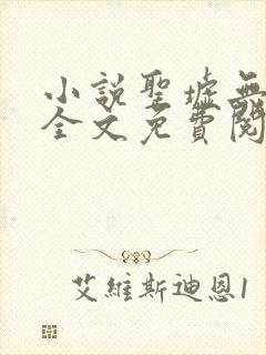 小说圣墟无弹窗全文免费阅读
