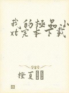 我的极品小姨txt完本下载