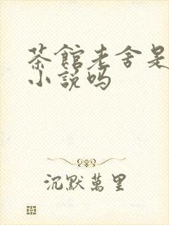 茶馆老舍是长篇小说吗