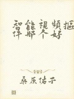 智能视频抠像软件哪个好