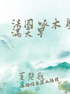 法国 啄木鸟 满天星